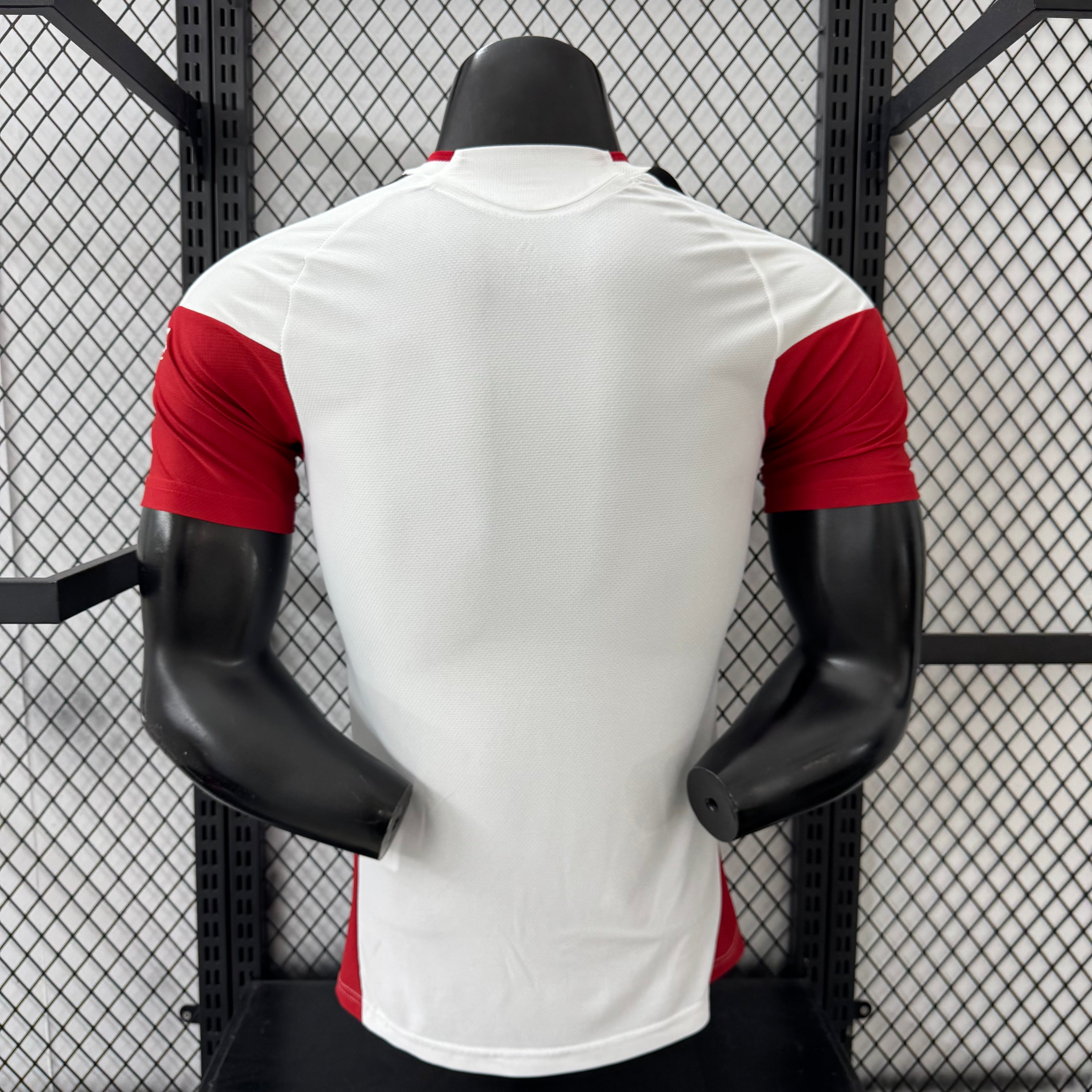 Germany "Solar Summit" Special Kit