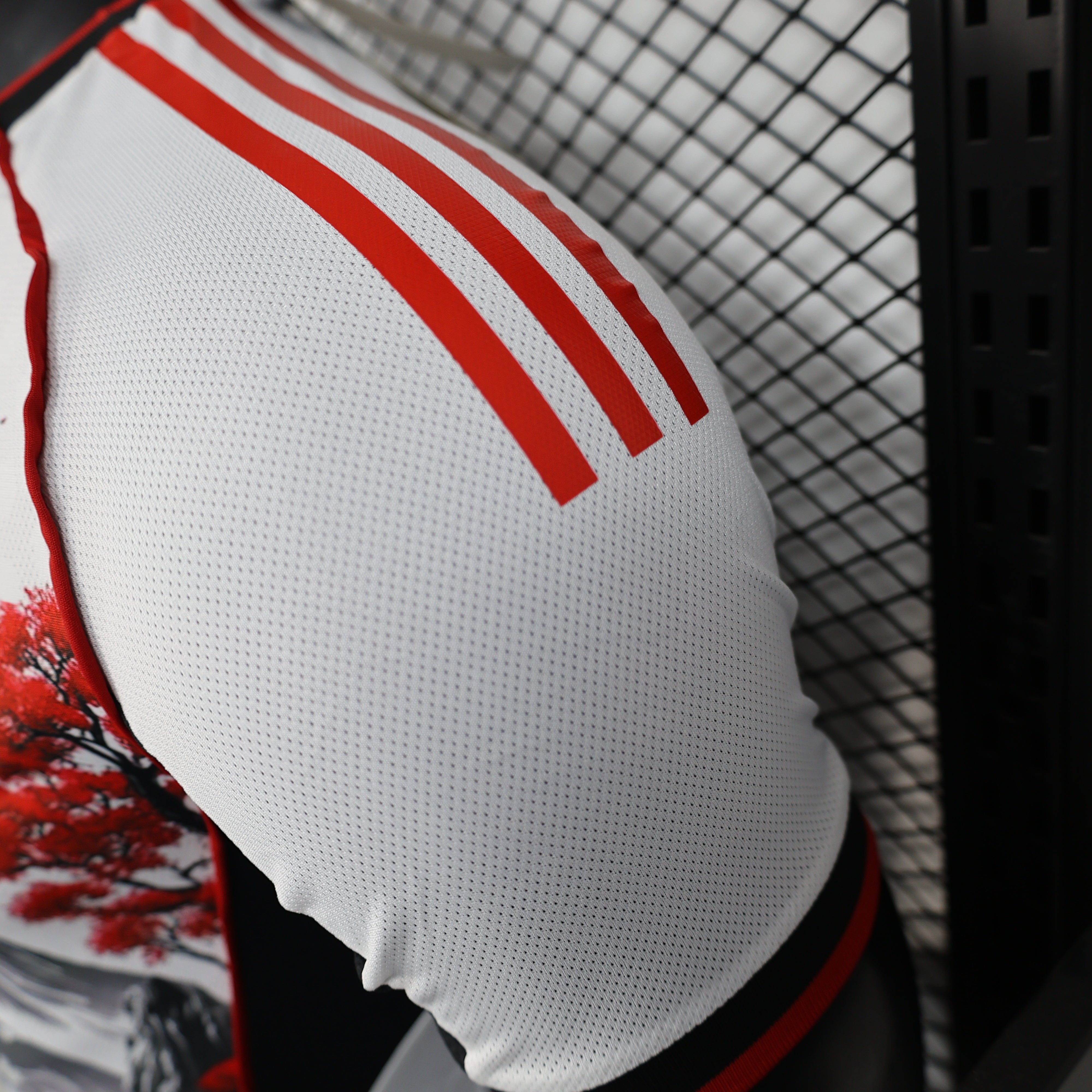 Japan "Mount Fuji Heritage" Special Kit