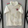 Maillot 25/26 Wales Extérieur